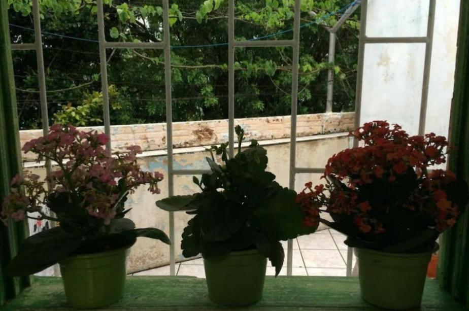 Quarto Em Casa Compartilhada Florianópolis Buitenkant foto
